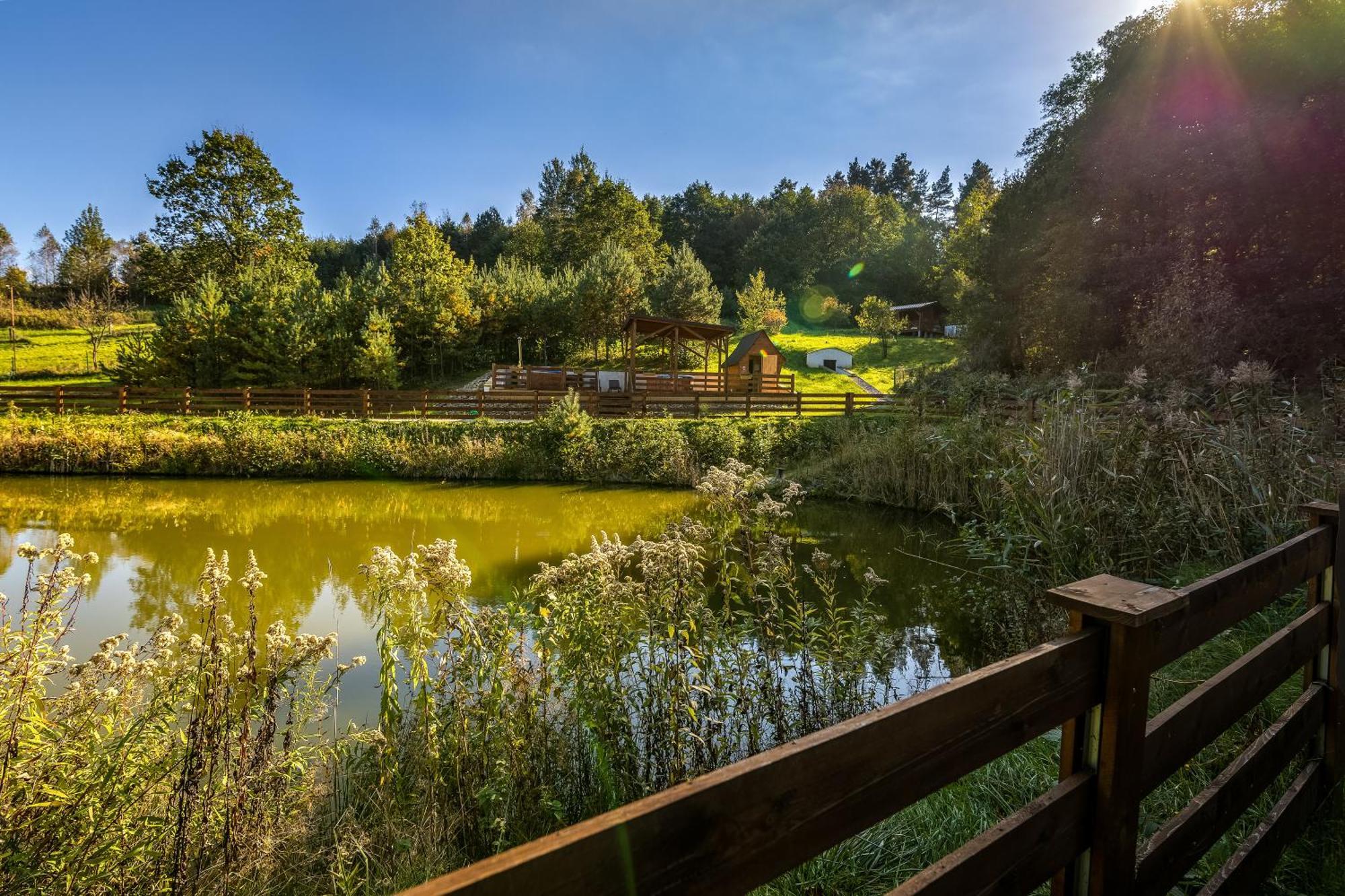 Glamping Pod Gwiazdami Pietrusza Wola Hotel Ngoại thất bức ảnh