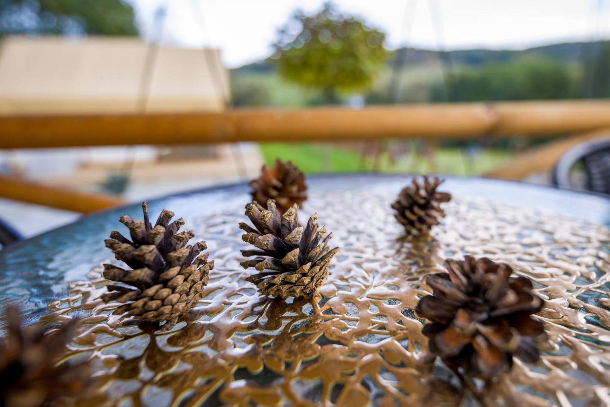 Glamping Pod Gwiazdami Pietrusza Wola Hotel Ngoại thất bức ảnh